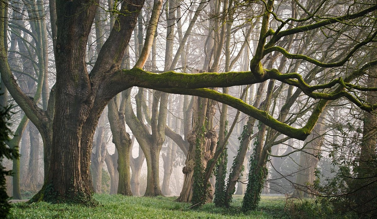 Building Atmosphere in Folk Horror Fiction