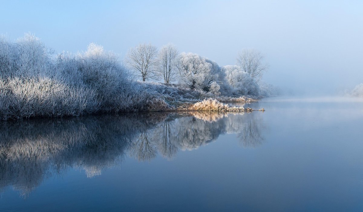 The Folklore of British Trees and Woodlands